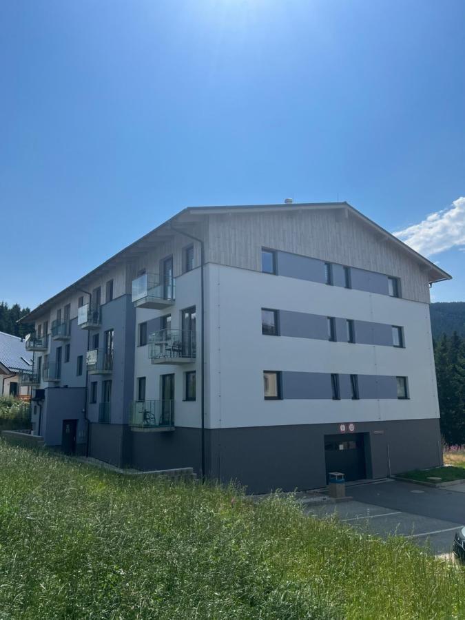 Klinovec-Apartments Loučná pod Klínovcem Extérieur photo